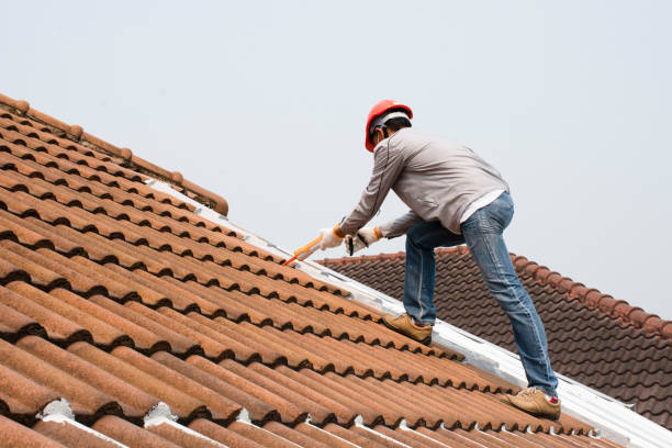 Best Roof Maintenance and Cleaning  in Buford, GA